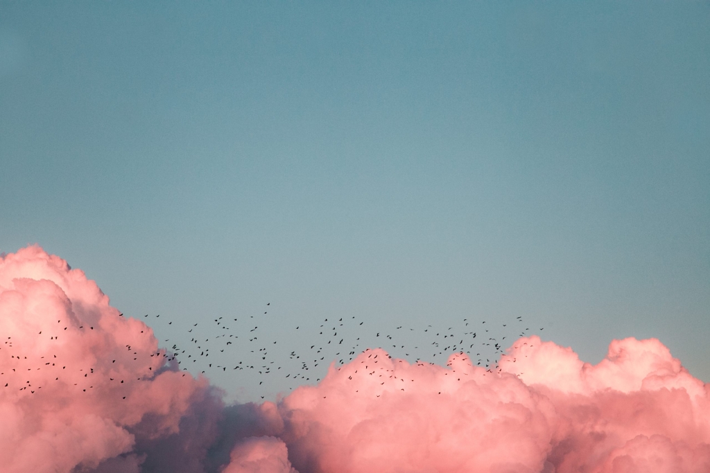 Lessons From Inspiring Brands