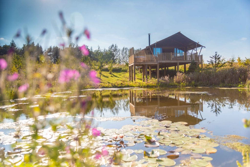 Birdholme Glamping