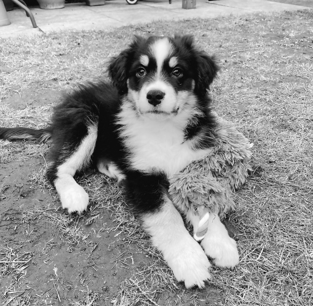 Meet the team - Sven
