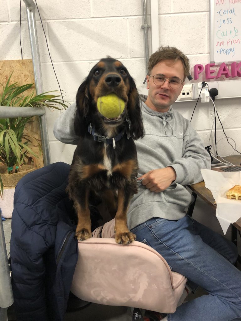 Peaky Digital Office Dogs