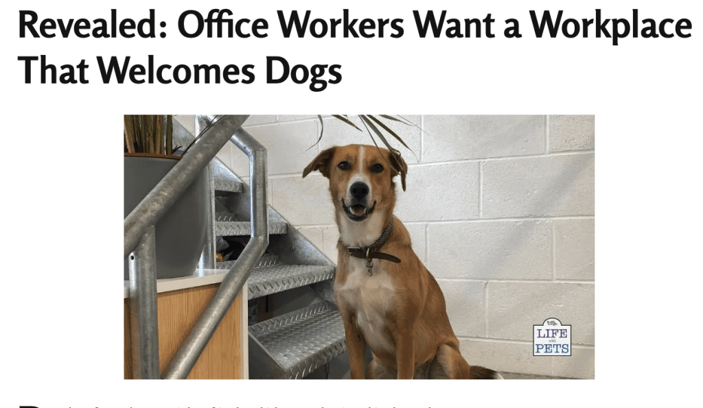 Peaky Digital Dogs Featured In Article