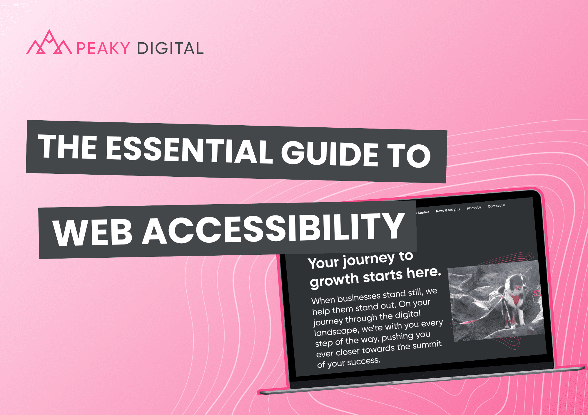 The Essential Guide to Web Accessibility