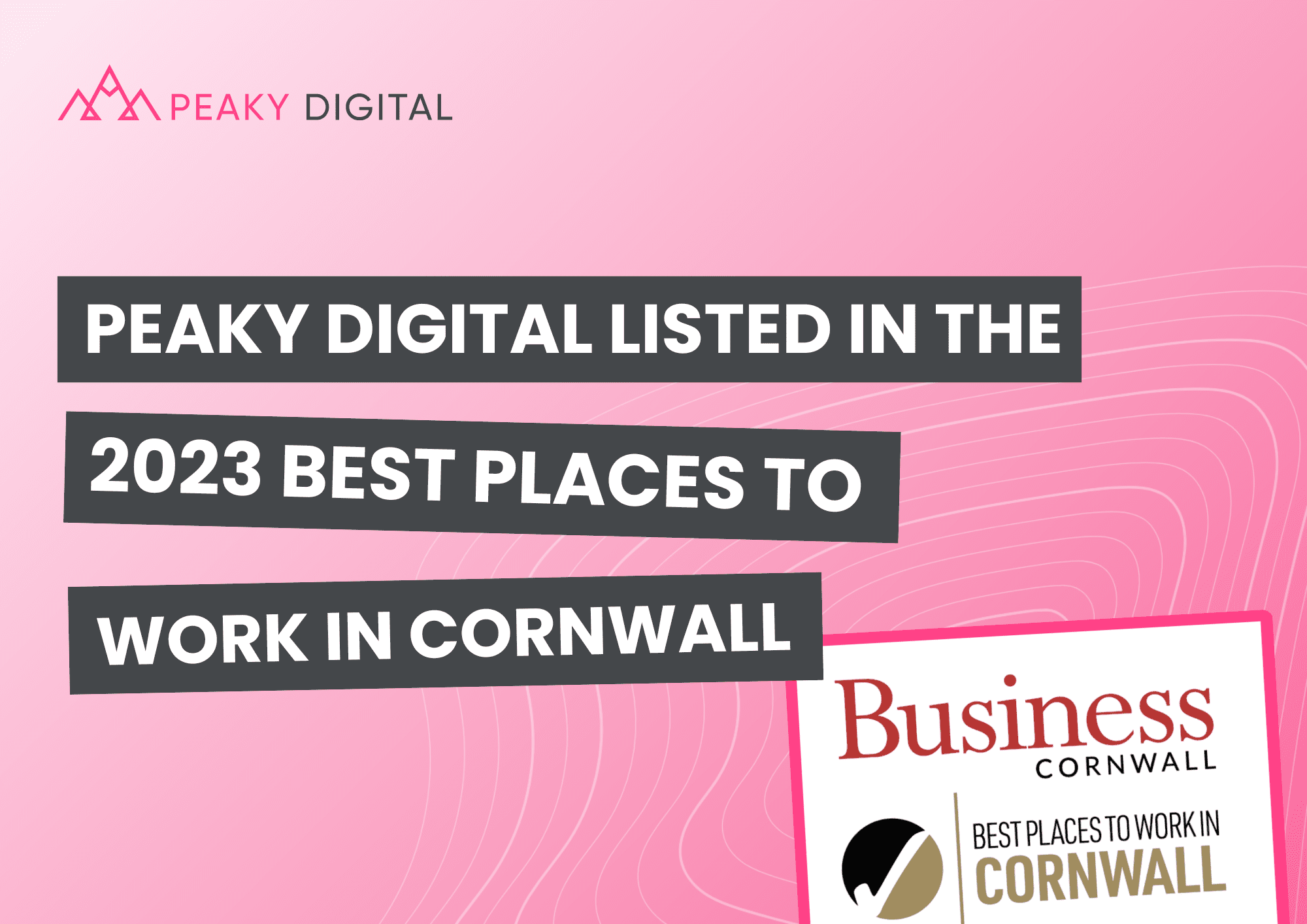 Peaky Digital Listed in 2023 Best Places to Work in Cornwall Pink Blog Banner
